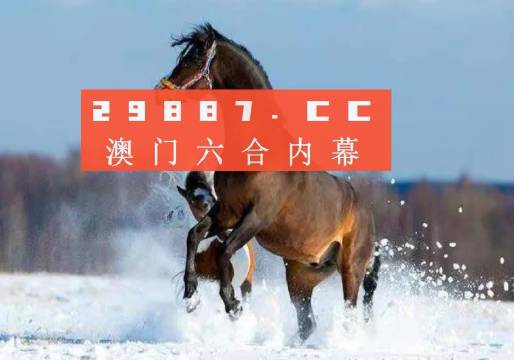 澳门一肖一特一码一中-全面释义解释落实