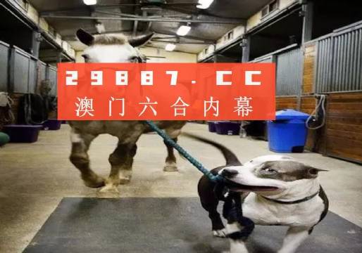 澳门必开一肖一码一中-综合研究解释落实