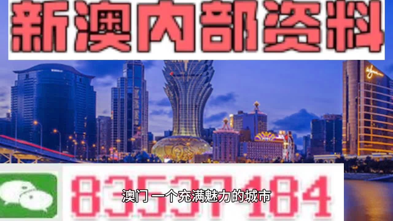 澳门免费资料查询方法及决策,全面释义解释落实