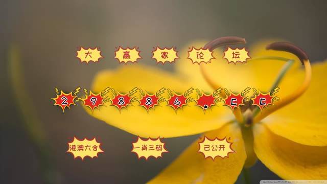 奥门正版资料免费大全,全面释义解释落实