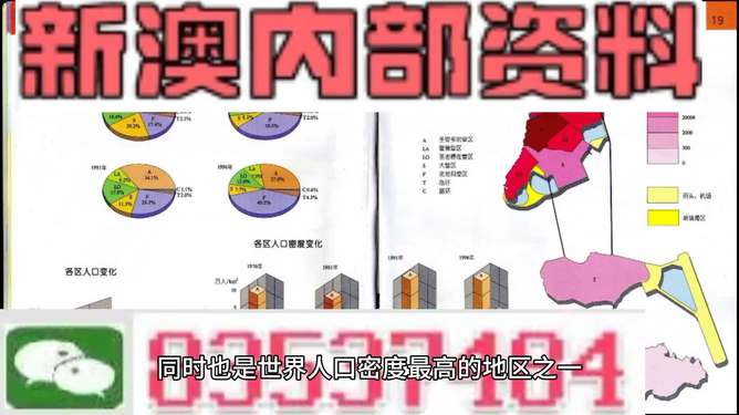 2025年新澳门天天开奖结果,探索未来，澳门彩票开奖的新篇章与启示（2025年展望）