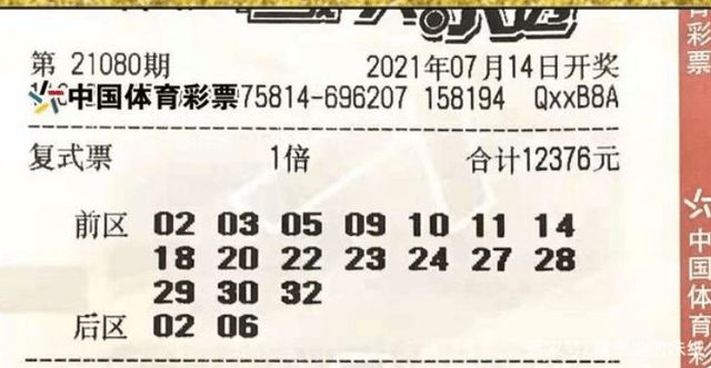 2023澳门特马今晚开奖免费看,澳门特马今晚开奖预告，免费观看与深度解析彩票开奖过程