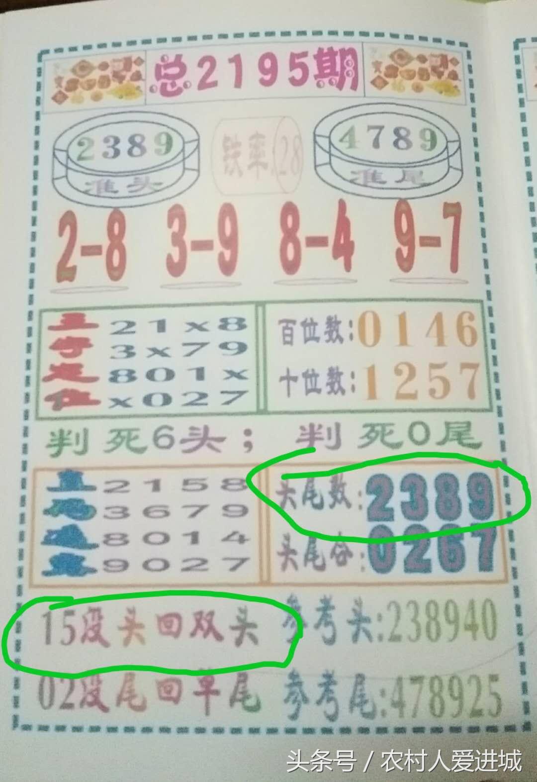 澳门今晚必开一肖期期,澳门今晚必开一肖期期，探索运气与命运的交织