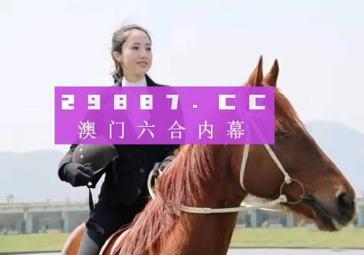 澳门一码一码,澳门一码一码，探索与解读