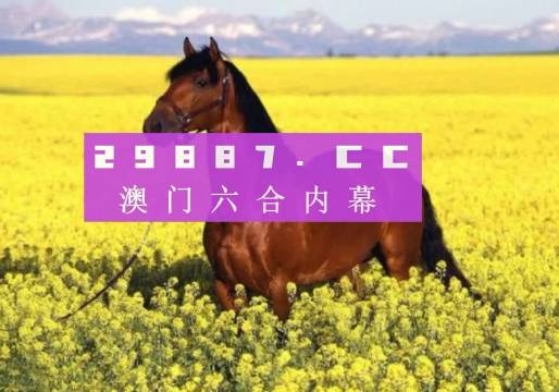 澳门一肖一码一一子,澳门一肖一码一一子，探寻背后的神秘与文化魅力