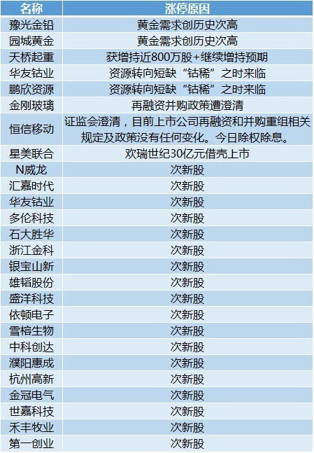 新奥天天开内部资料三巴,新奥天天开内部资料揭秘，三巴的独特视角
