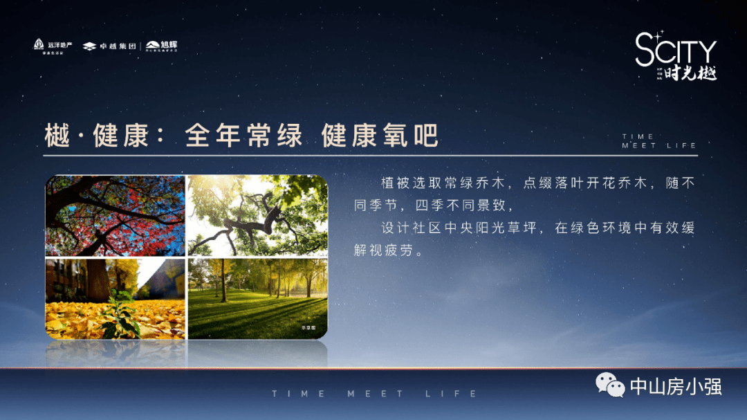 新澳天天开奖资料大全正版,新澳天天开奖资料大全正版，深度解析与实用指南