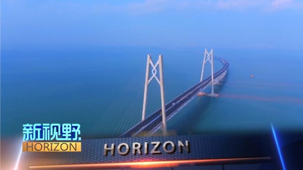 2025澳门今晚开什么生肖,澳门今晚生肖开什么——探寻未来的幸运生肖