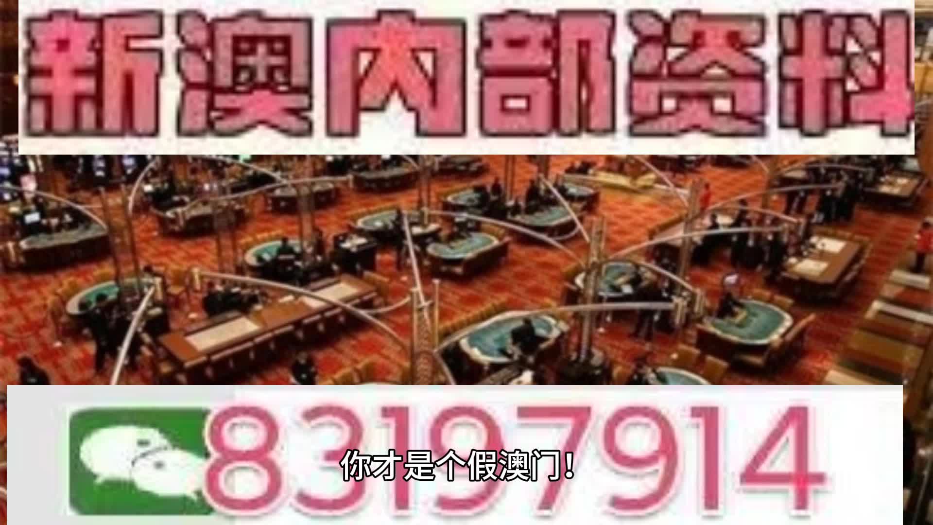 澳门今晚开什么,澳门今晚开奖预测与解析