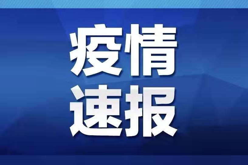 澳门49开奖现场直播特色,澳门49开奖现场直播特色，激情与透明的完美结合