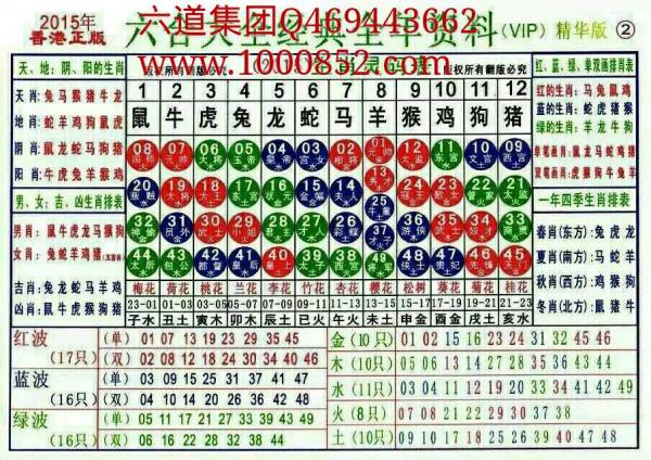 2025十二生肖49码表,揭秘2025十二生肖与49码表的不解之缘